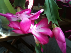 20140224_190038503_iOS