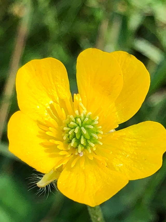 DBDCBBE3-653B-4398-845A-7117A19FB42A