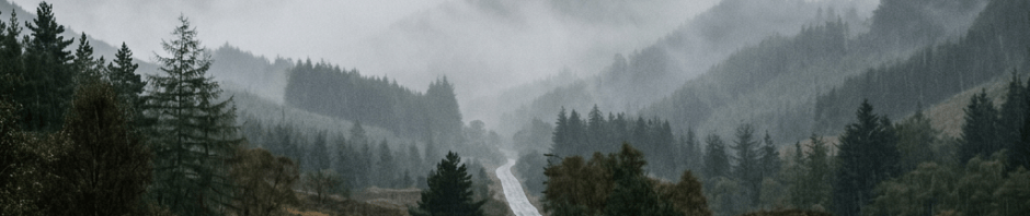 Wet winding road leading through fog-covered mountainous forest landscape