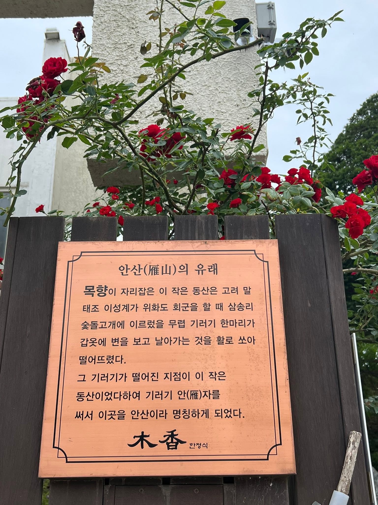 May be an image of monument and text that says '안산()의 유래 목향이 자리잡은 이 작은 동산은 고려 말 태조 이성계가 위화도 회군을 할 때 삼송리 숯돌고개에 이르렀을 무렵 기러기 한마리가 갑옷에 변을 보고 날아가는 것을 활로 쏘아 떨어뜨렸다. 그 기러기가 떨어진 지점이 이 작은 동산이었다하여 기러기 안(.)자를 써서 이곳을 안산이라 명칭하게 되었다. 木香 한정식'