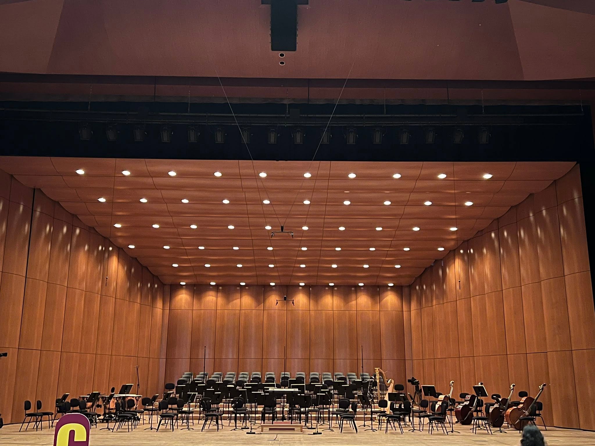 May be an image of violin and clarinet