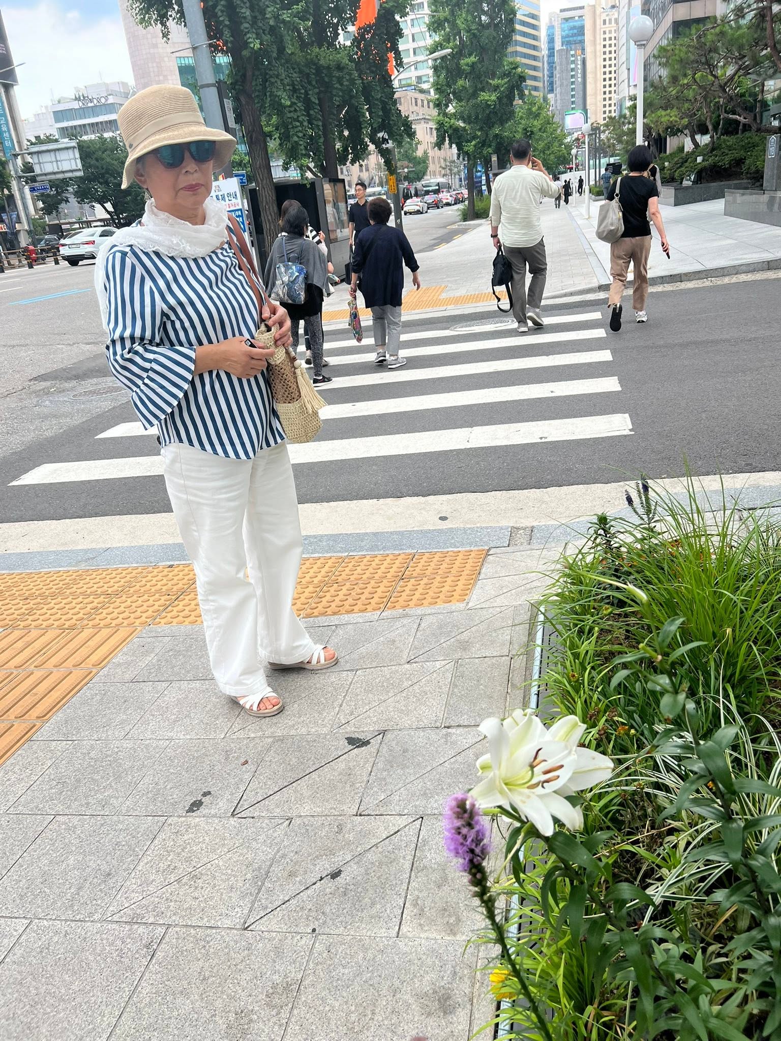 May be an image of white lily and street
