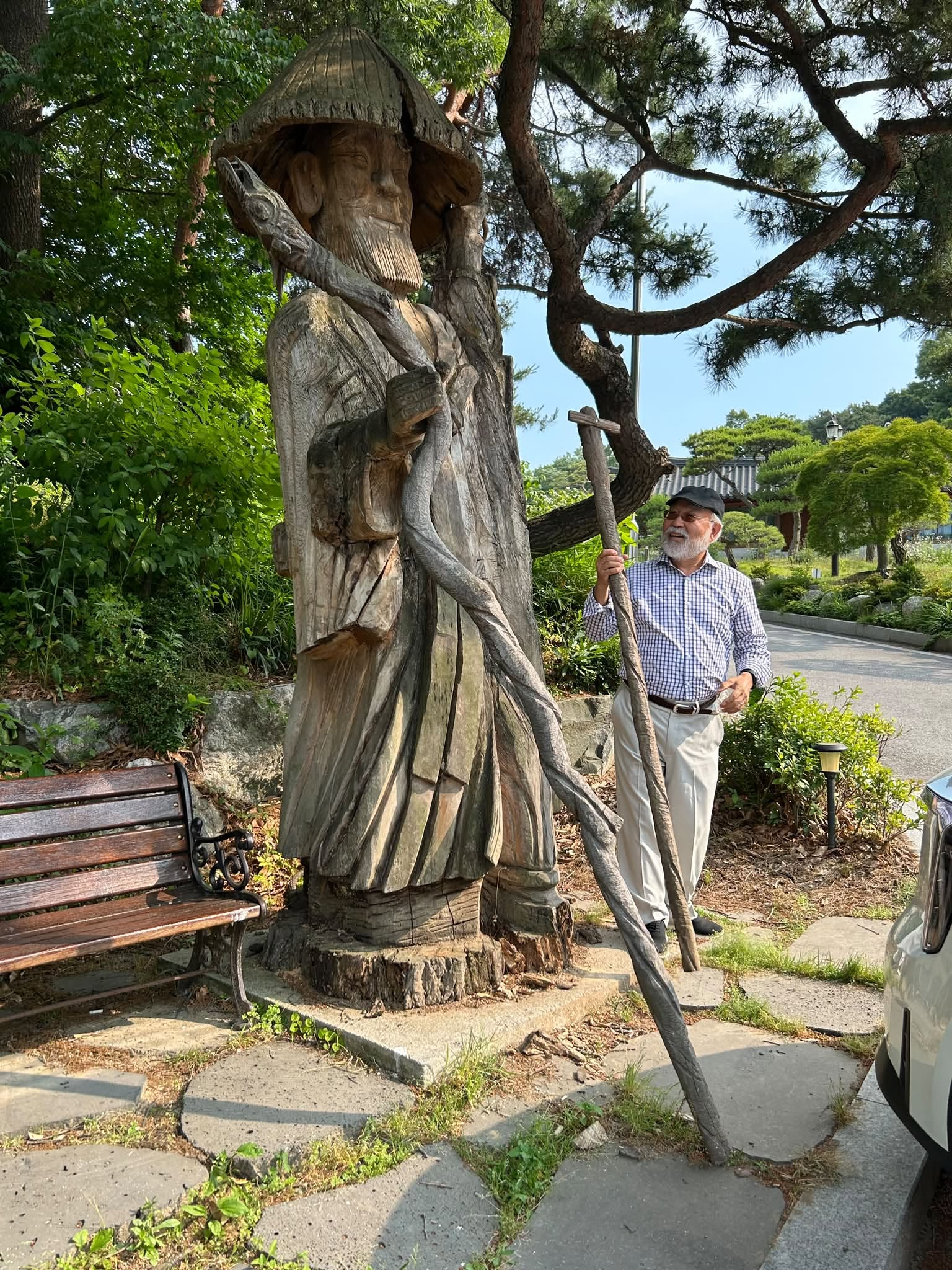 May be an image of tree